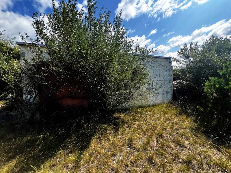 Chippewa Drive-In Theatre - Aug 21 2024